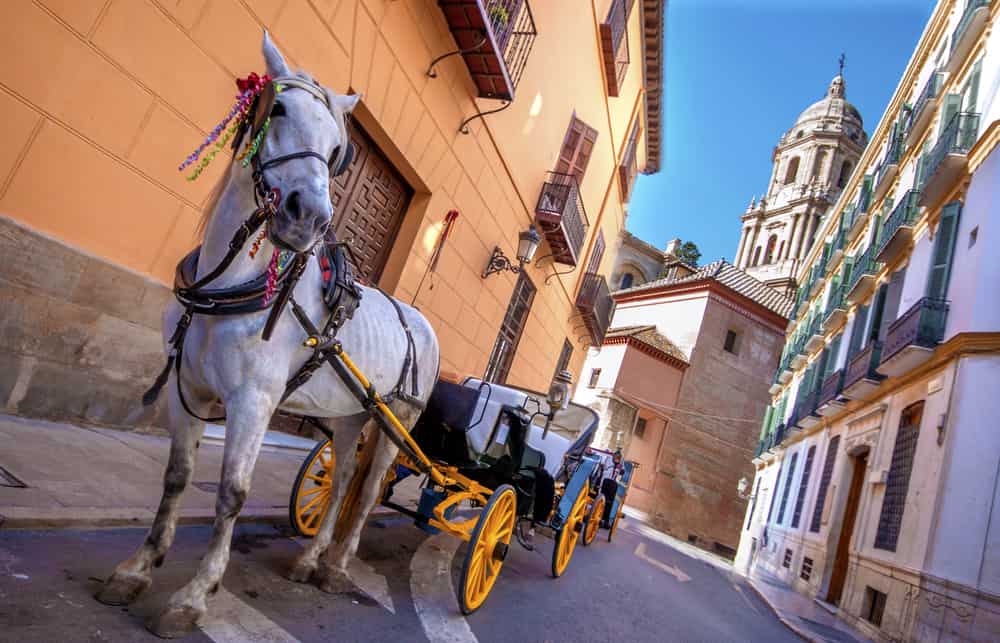 Horse and carriage in the city streets in Malaga, Spain