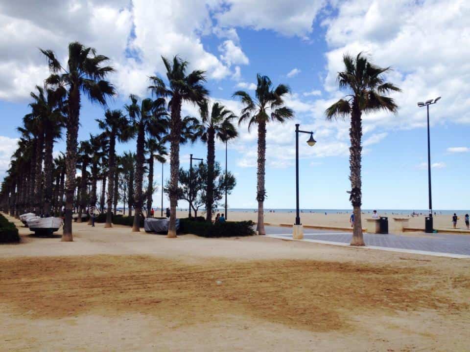 Palm trees at Platja del Cabanyal, Valencia