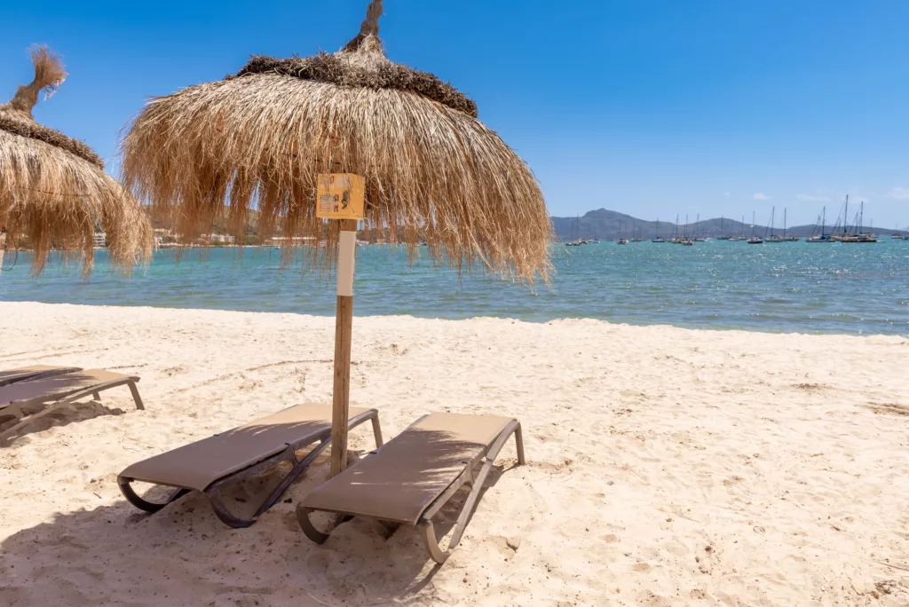 Straw umbrellas with sunbeds on the sandy beach in beautiful Port de Pollenca (Puerto Pollensa). Mallorca. Spain