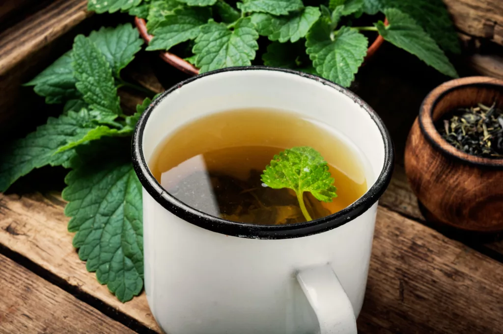 Green herbal tea