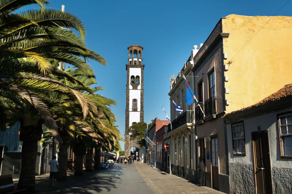The city of Santa Cruz de Tenerife.
