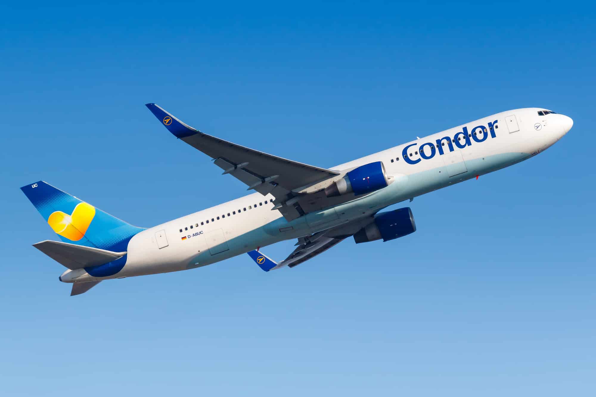 condor airline