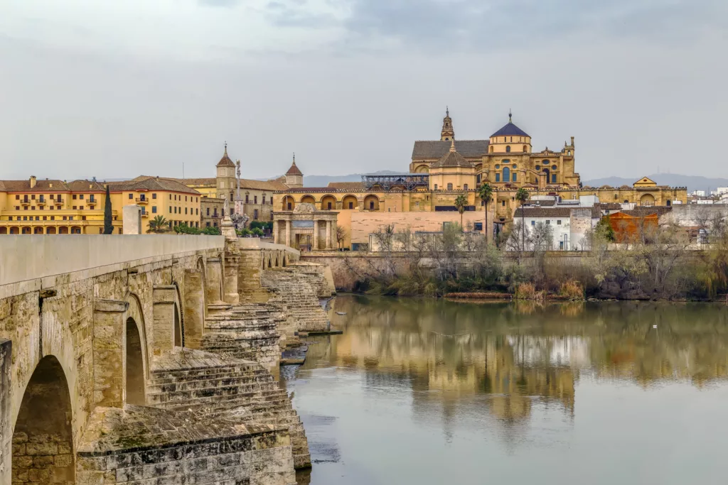 view of Cordoba with Mosque Cathedral in February