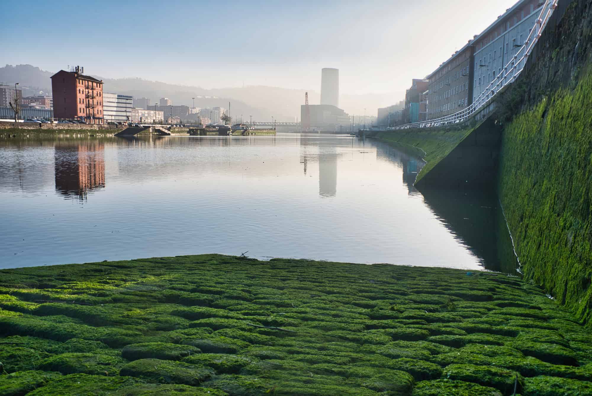 A mesmerizing view of the River of Bilbao with reflections in the spring season