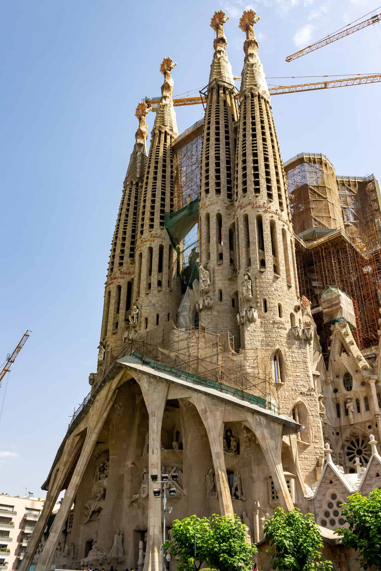 Vertical shot of the Sagrada Familia basilica and its tall towers under construction
