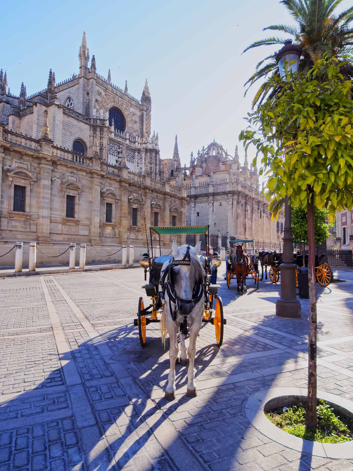 Carriages in front of the Cathedral of Seville, Spain