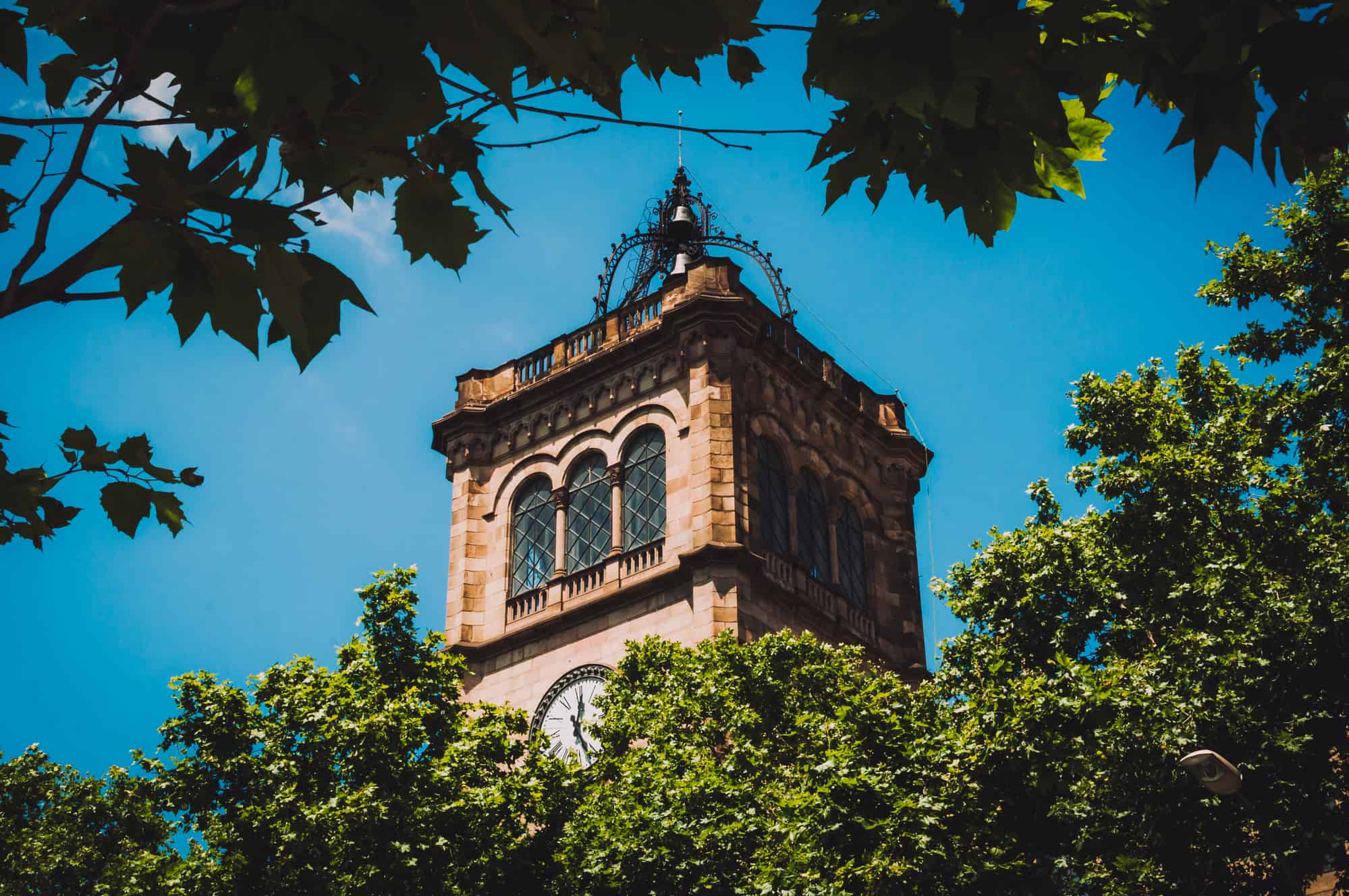 Clock tower of the University of Barcelona through the foliage