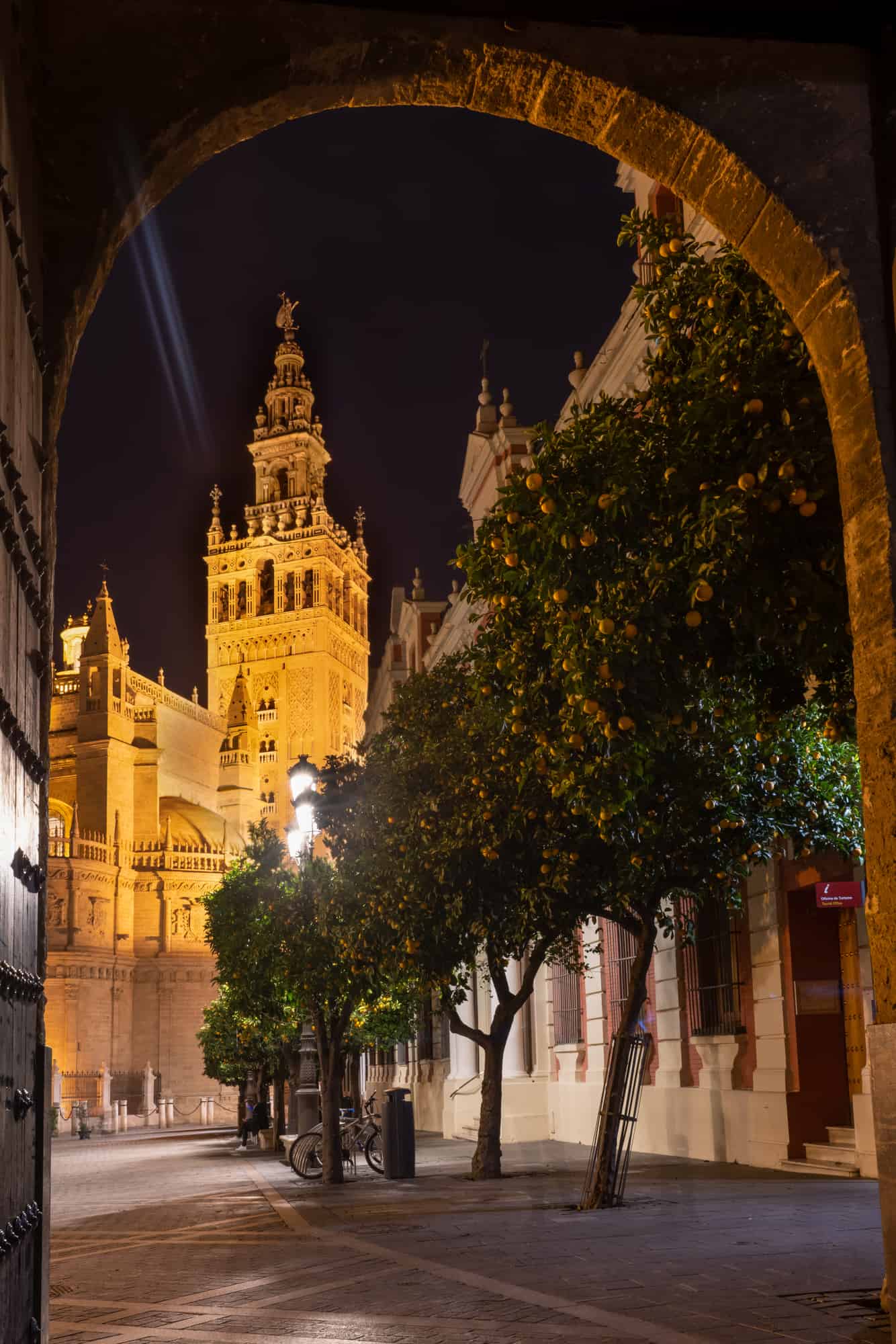 night view of the cathedral of sevilla in spain.