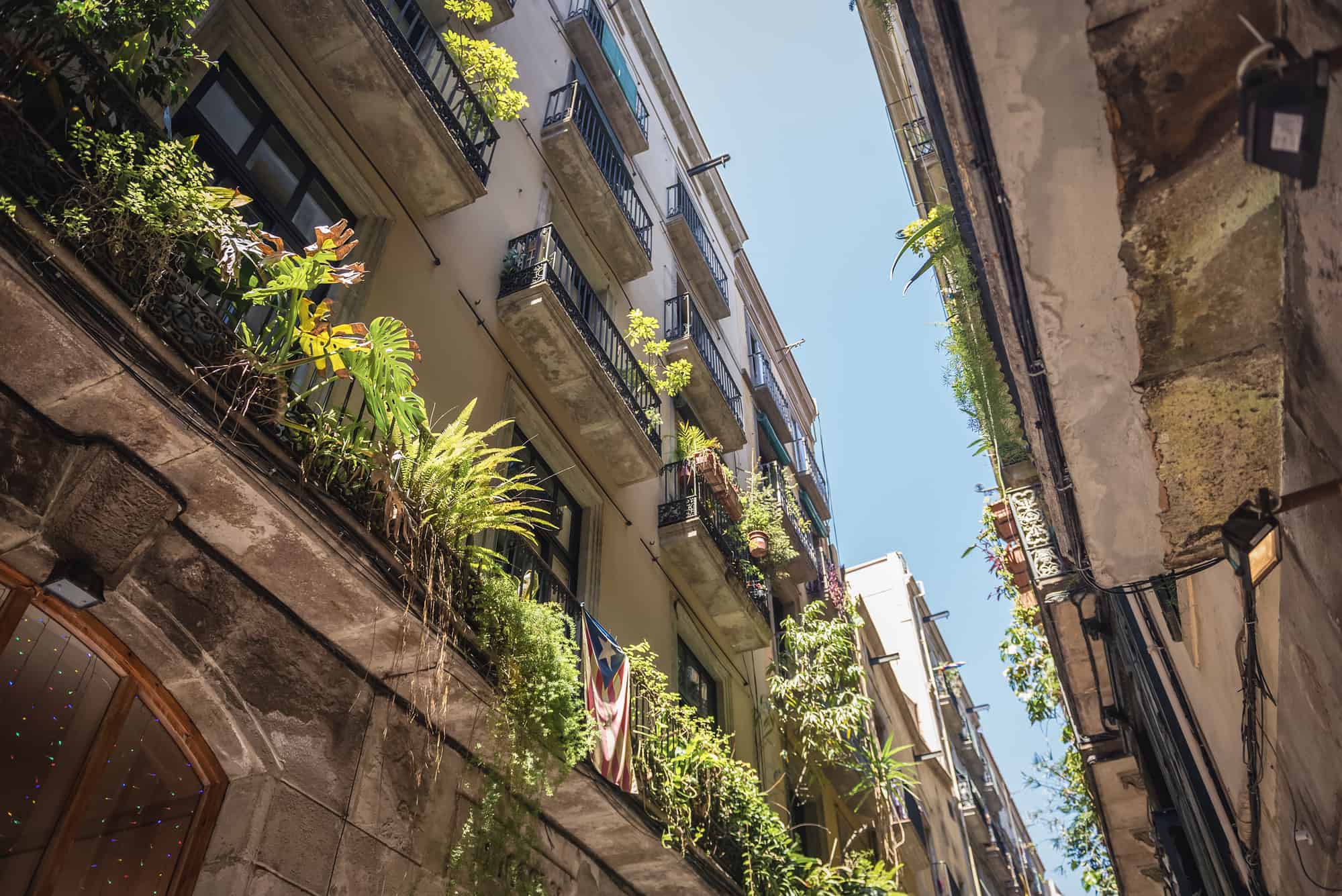 Residential building with Estelada flag in Gothic Quarter in Barcelona city, Spain