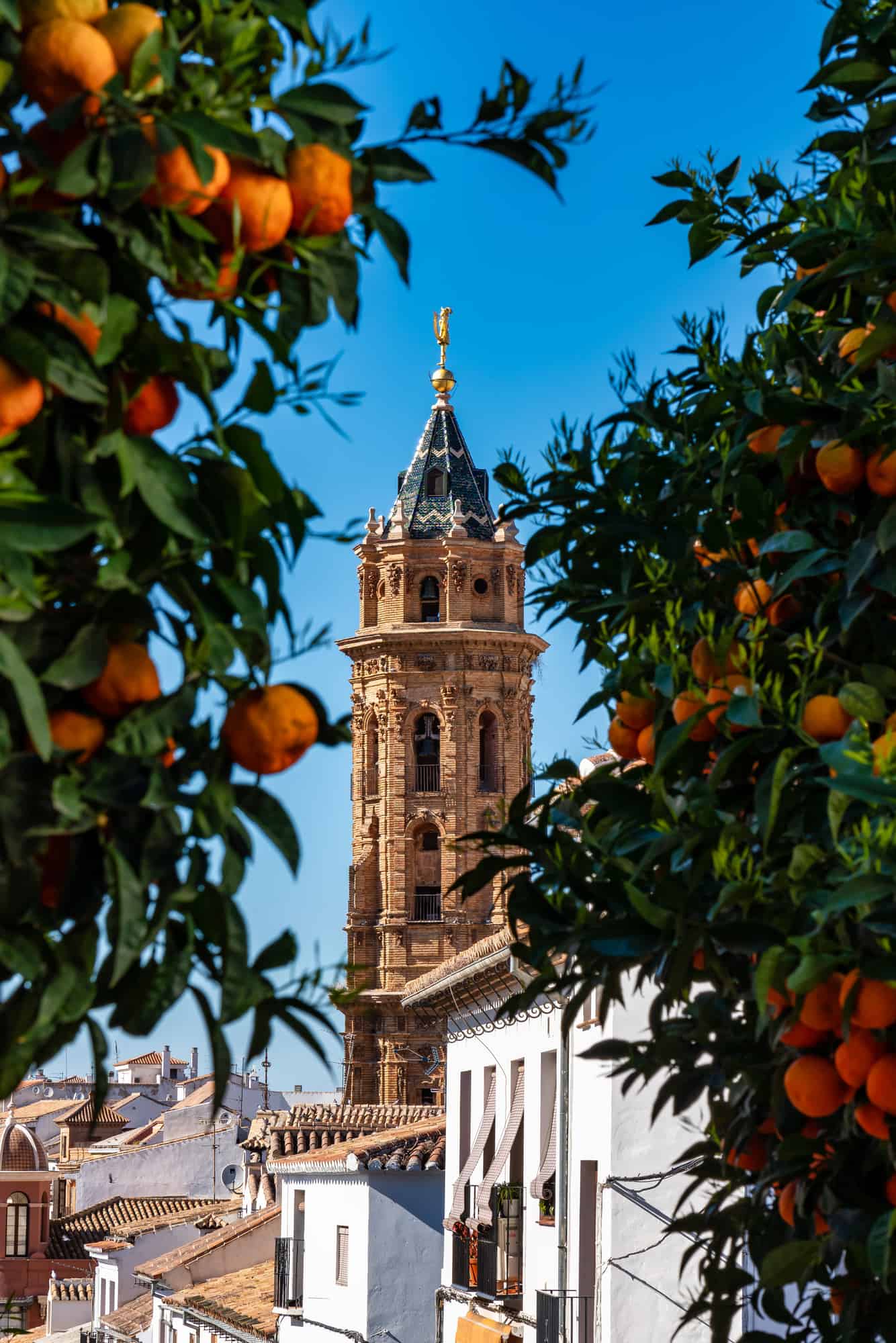 San Sebastian church tower in Antequera, Malaga Province, Andalusia, Spain, Western Europe