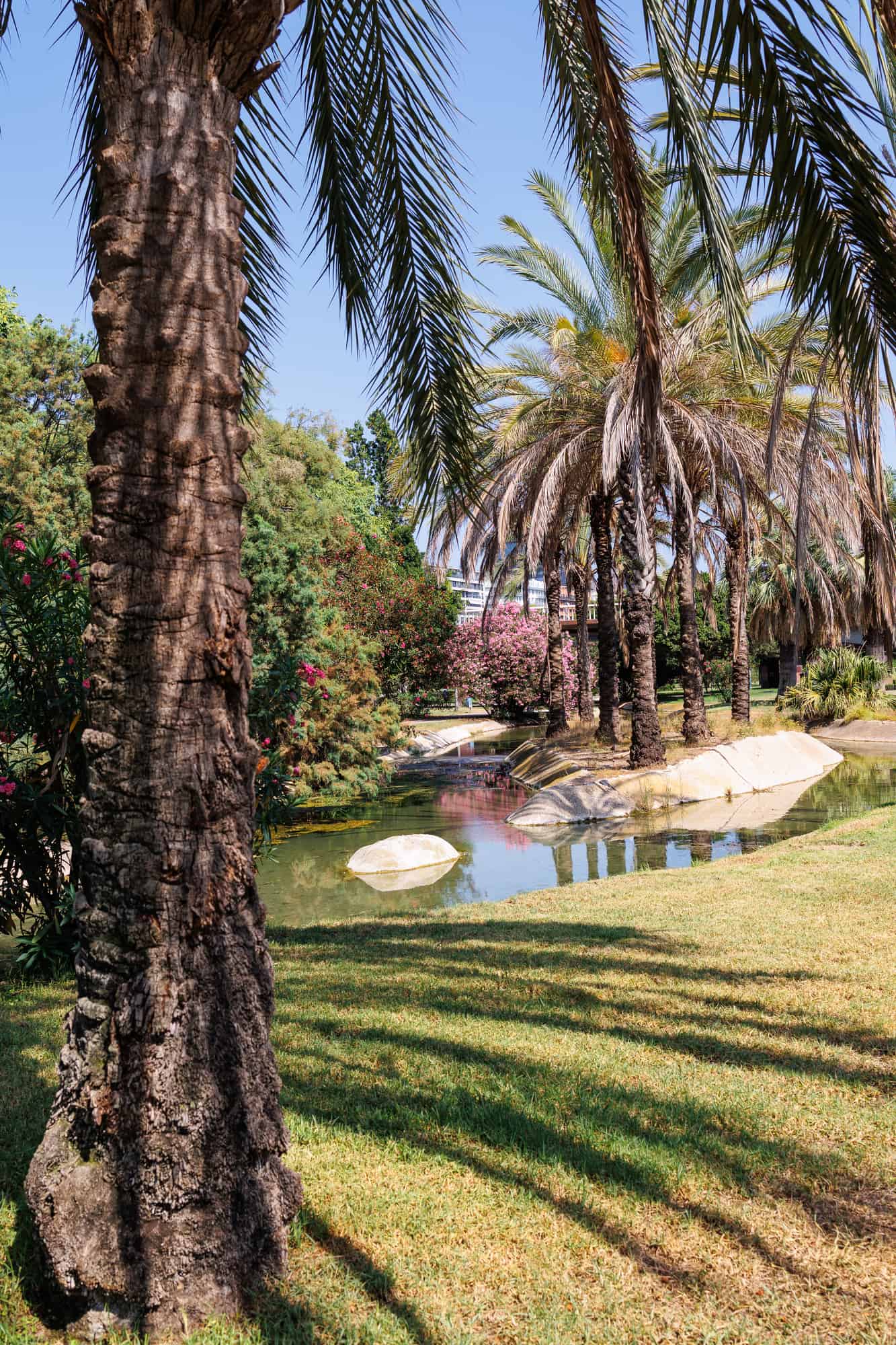 Turia Park with Palm Trees and Flowers in March, Valencia