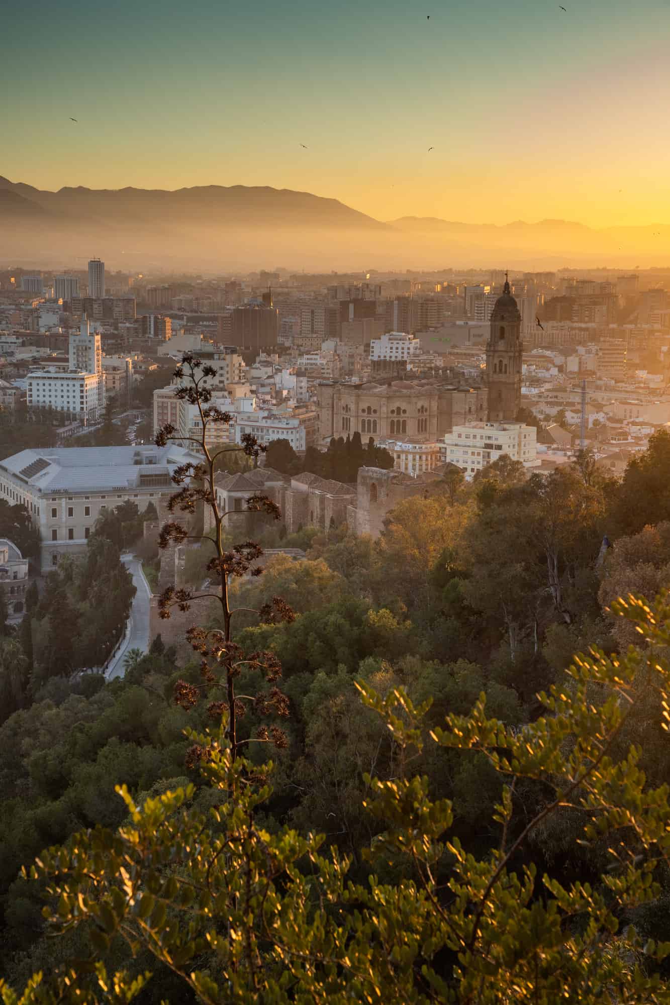 View over Malaga at sunset in March