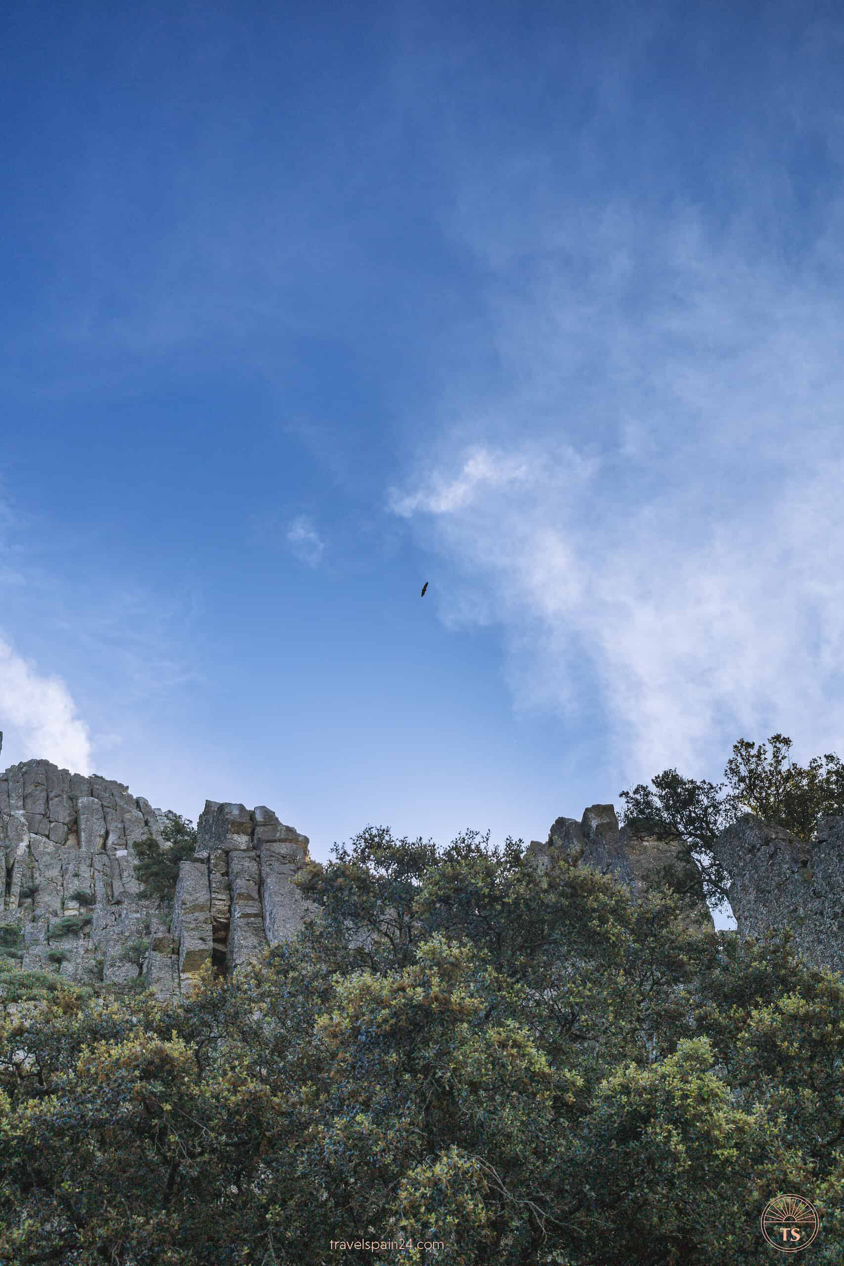 Griffon Vulture soaring above the rocky mountains of Monfragüe National Park, showcasing the park's rich biodiversity.