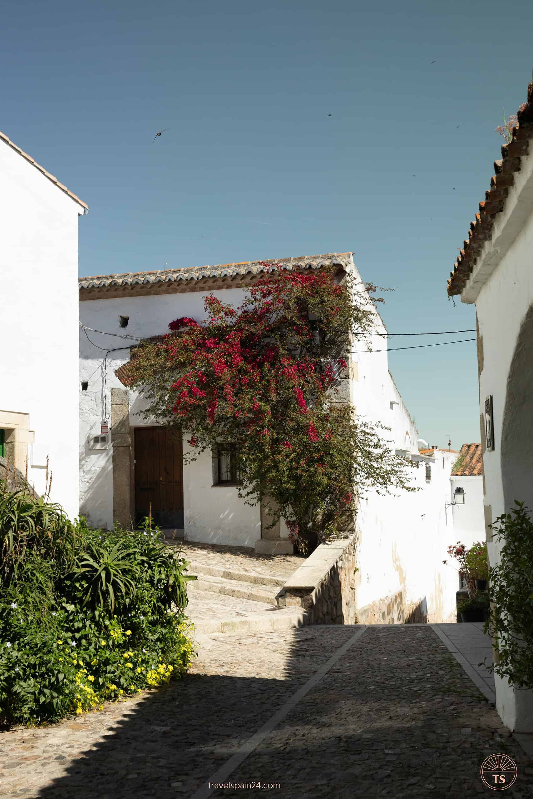 A scenic street in the Old Jewish Quarter of Cáceres near Baluarte de los Pozos, with whitewashed houses and birds flying in the blue sky.