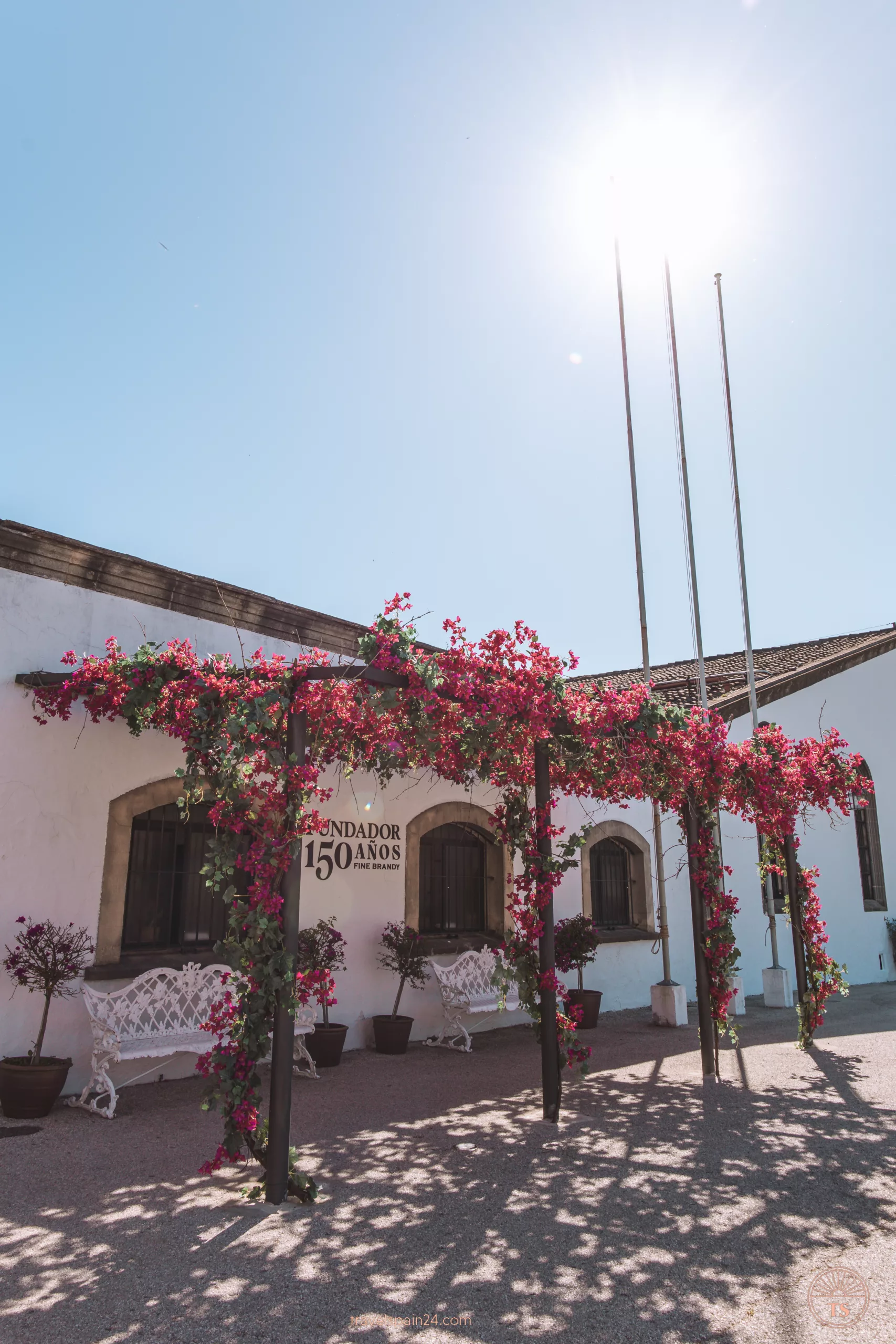 Entrance of Bodega Fundador in Jerez de la Frontera, featuring a pergola covered with climbing plants with pink flowers and white benches underneath. This image highlights the picturesque entrance of a famous bodega