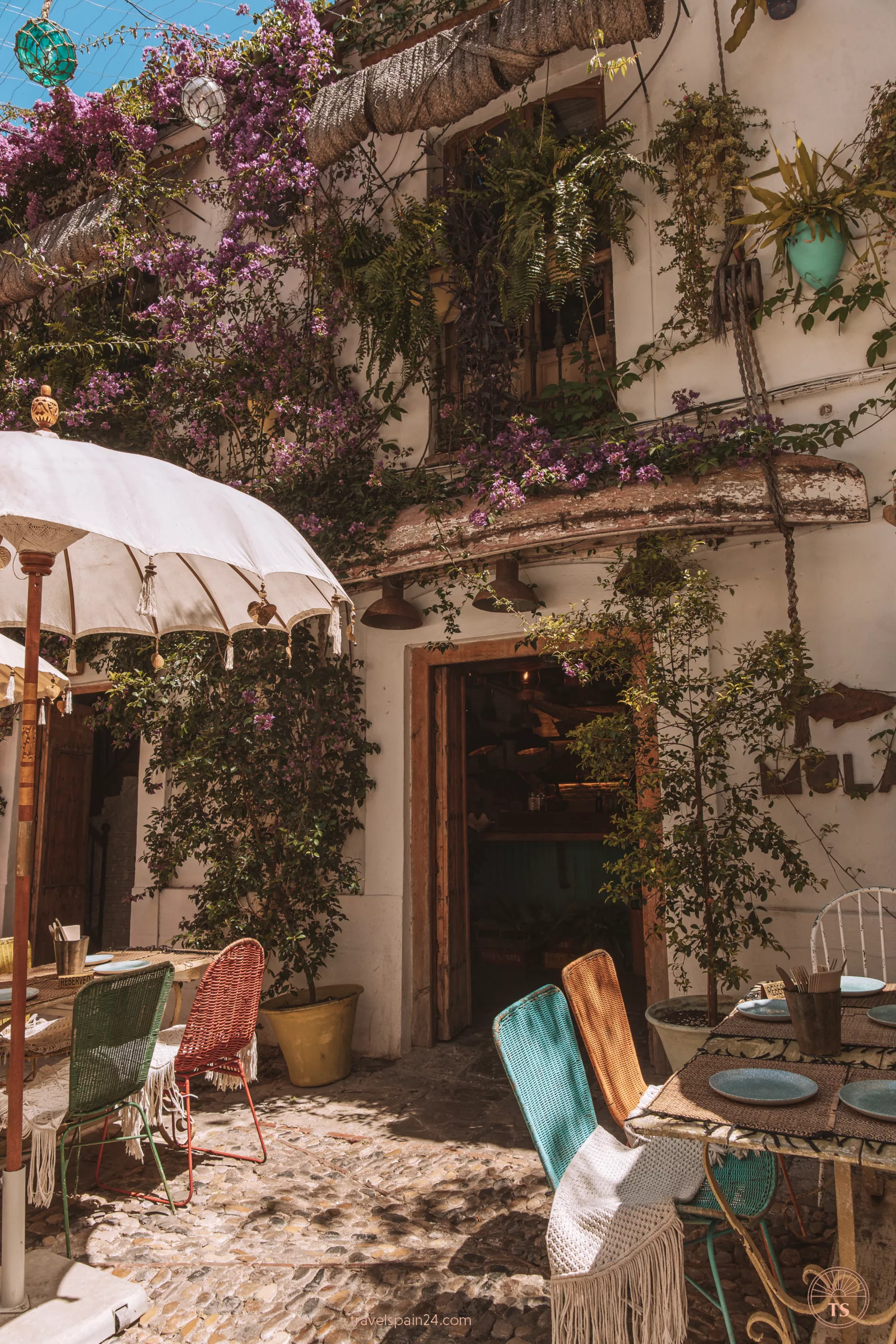 Terrace of a restaurant on Calle Pescadería Vieja in Jerez de la Frontera, with colorful chairs and climbing plants covering the facade. This image captures the vibrant dining scene in the city