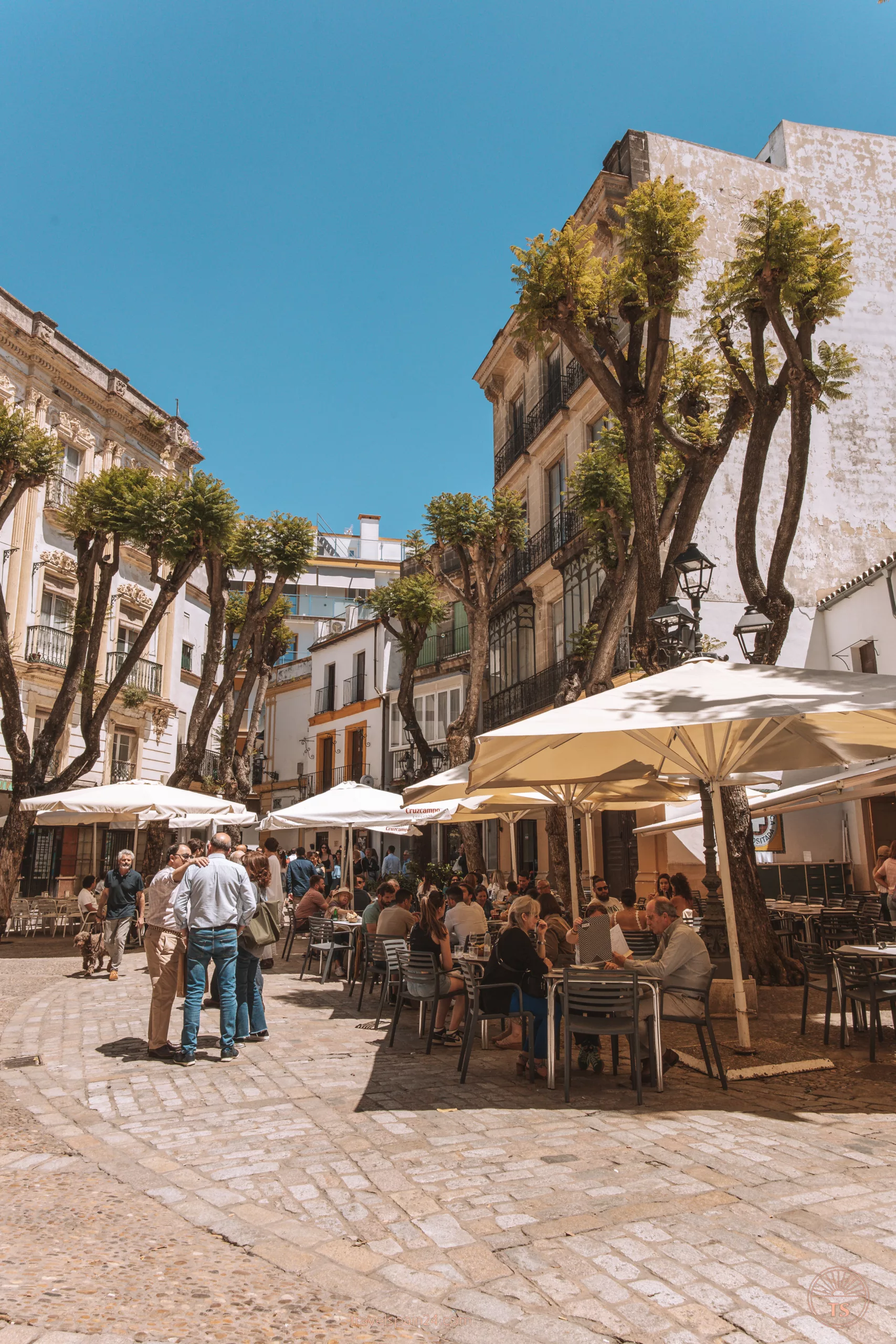 Plaza de la Yerba in Jerez de la Frontera, with people seated at terrace tables enjoying meals and drinks. This image relates to the post by illustrating a lively social spot in Jerez de la Frontera.