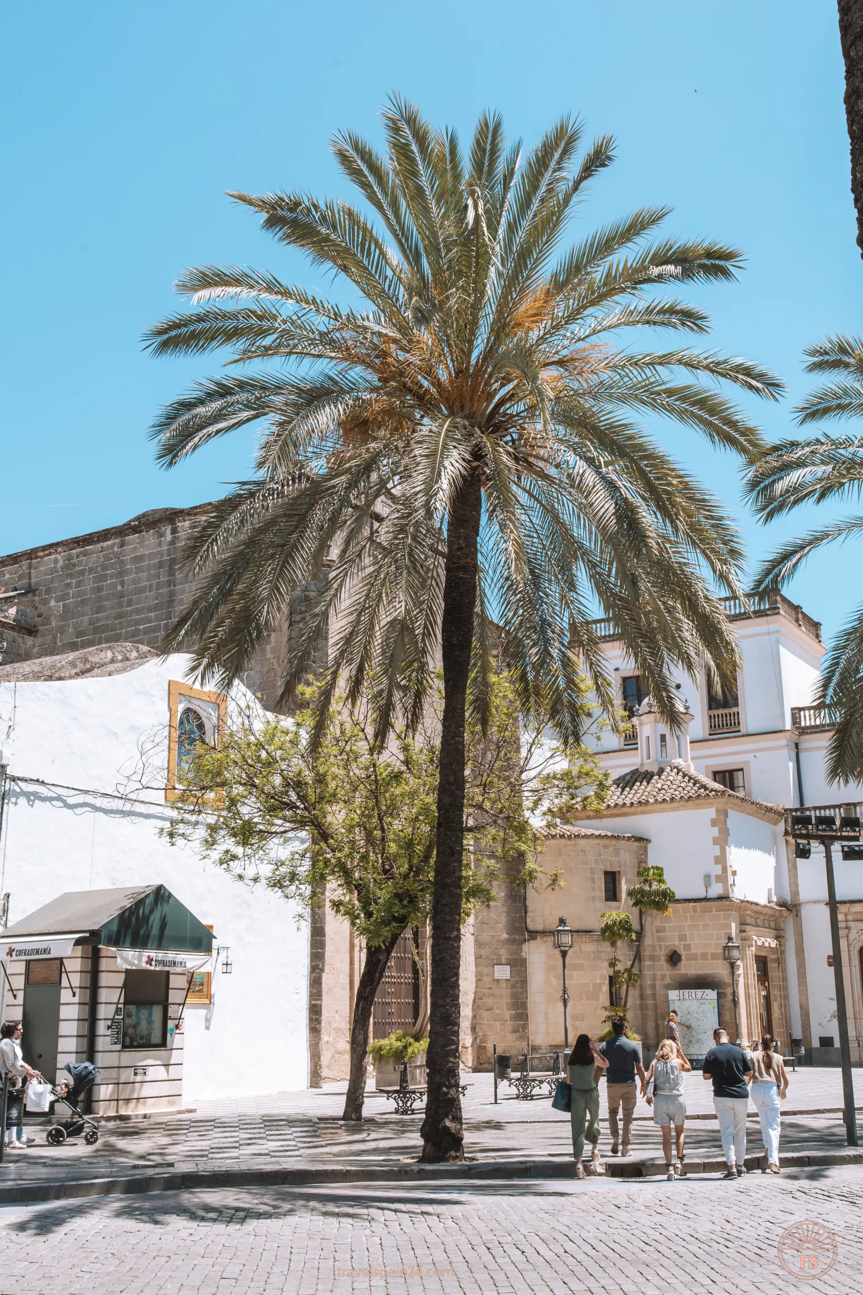 Street view from the monastery in Jerez de la Frontera, showing a palm tree in front of the facade and people passing by. This image captures the peaceful surroundings of the monastery