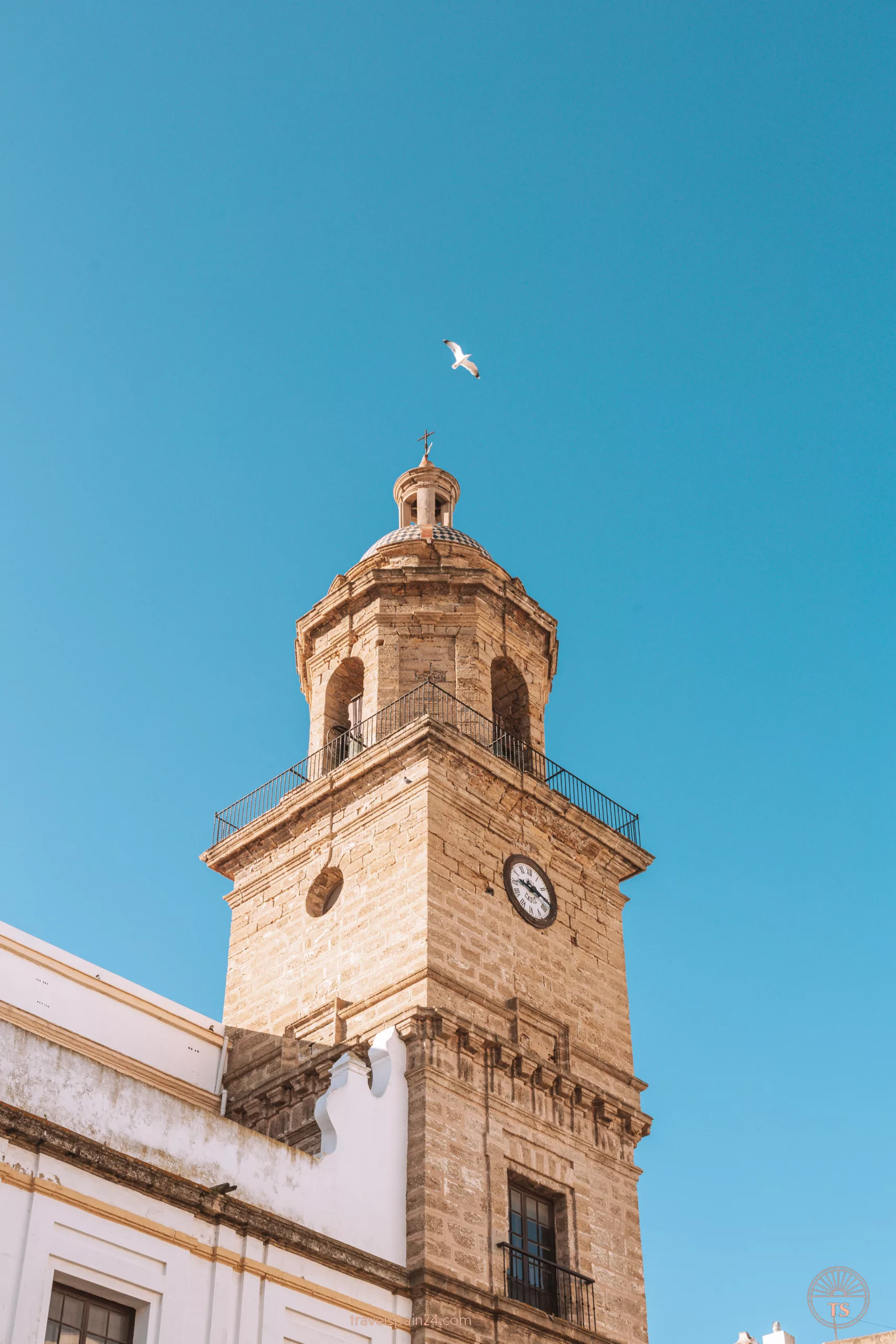 Detailed view of Iglesia Conventual de Santo Domingo (Cádiz del Rosario) on a sunny day, accompanied by a seagull in flight. This image showcases the architectural beauty of this landmark in Cadiz