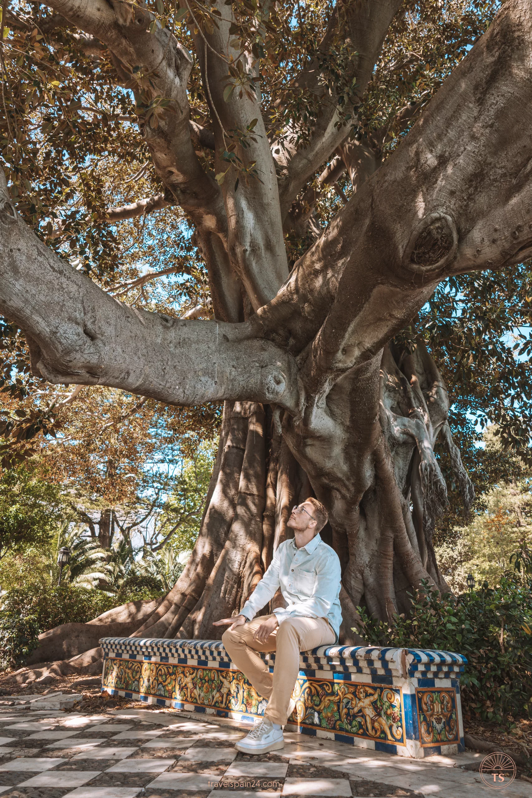 Timon van Basten seated on a bench under a centenary tree in Cadiz, enjoying the shade. This peaceful scene is one of the Cadiz highlights, capturing the city's natural beauty and serene atmosphere.
